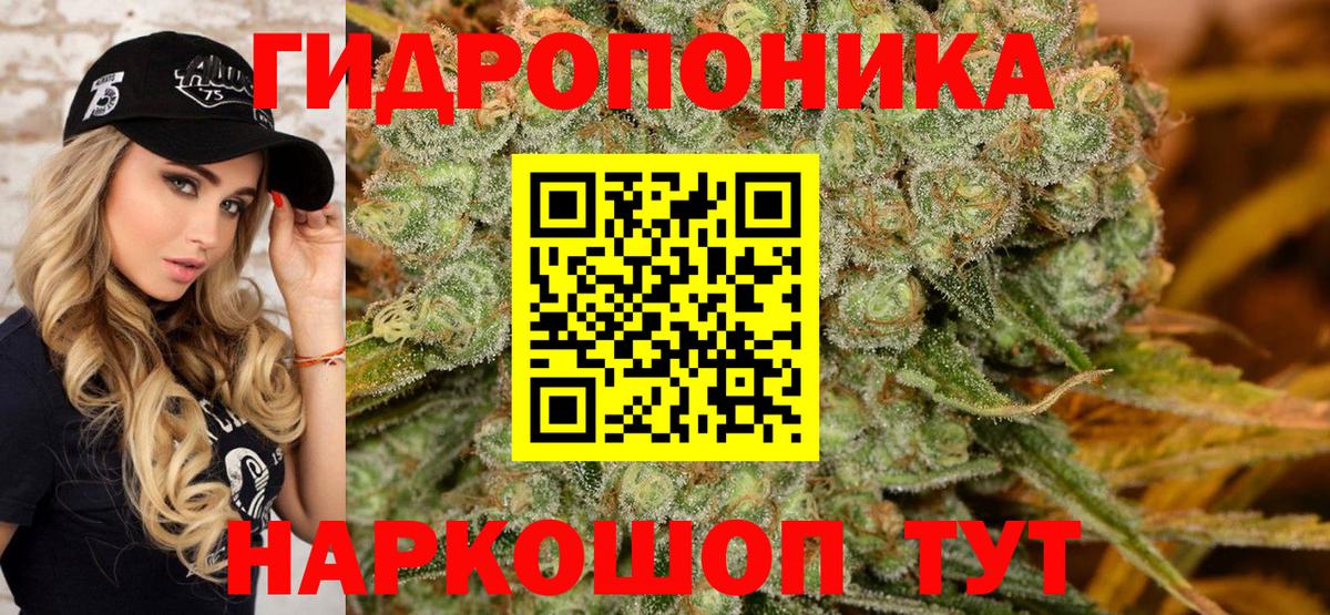 Канабис MAZAR Углич